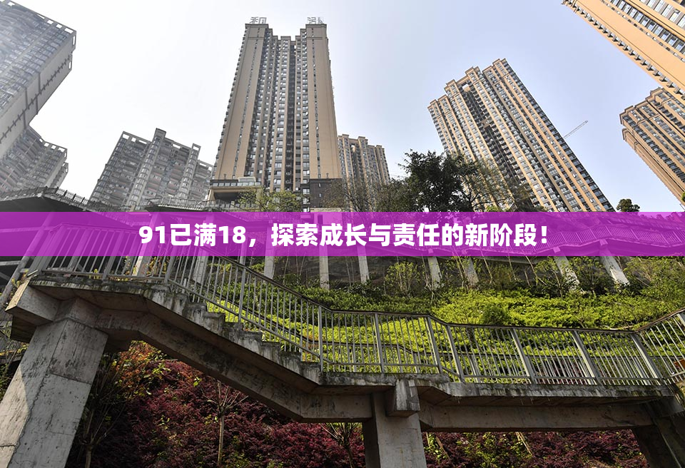 91已满18，探索成长与责任的新阶段！