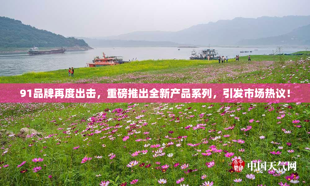 91品牌再度出击，重磅推出全新产品系列，引发市场热议！