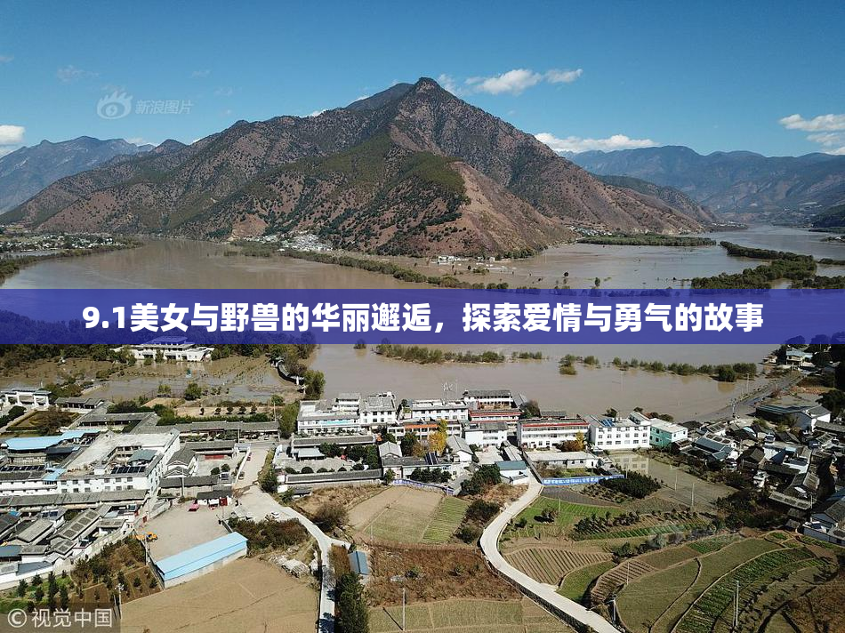 9.1美女与野兽的华丽邂逅，探索爱情与勇气的故事