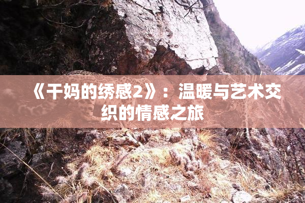 《干妈的绣感2》：温暖与艺术交织的情感之旅
