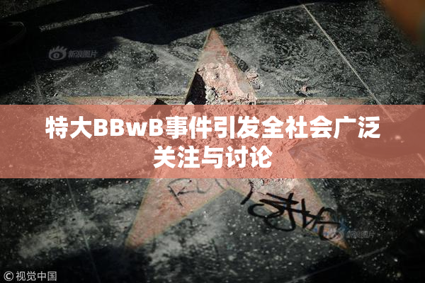 特大BBwB事件引发全社会广泛关注与讨论