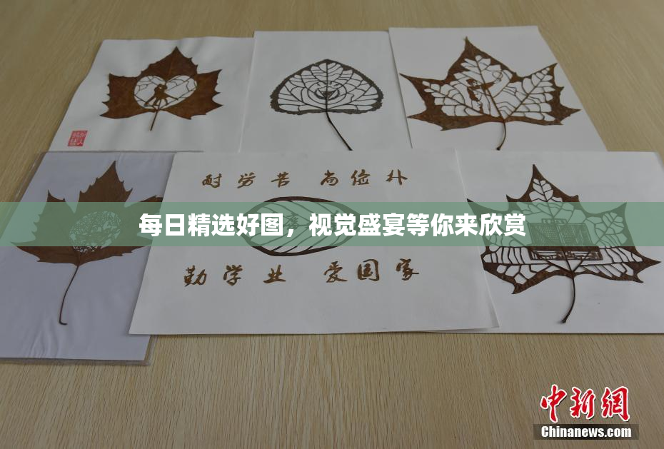 每日精选好图，视觉盛宴等你来欣赏
