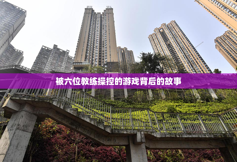 被六位教练操控的游戏背后的故事