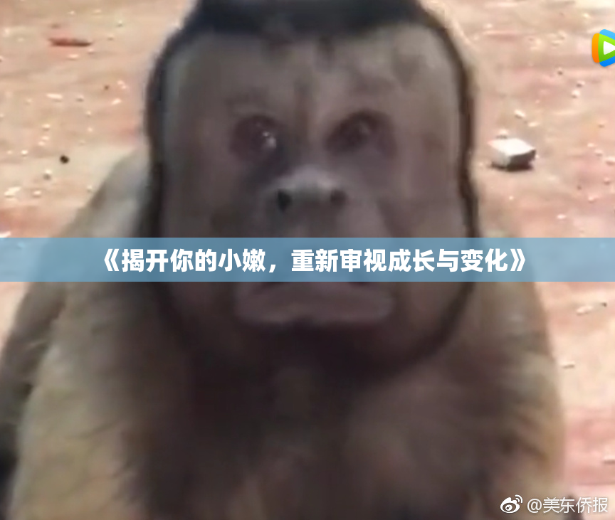 《揭开你的小嫩，重新审视成长与变化》