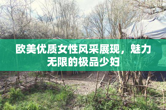 欧美优质女性风采展现，魅力无限的极品少妇