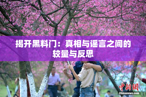 揭开黑料门：真相与谣言之间的较量与反思