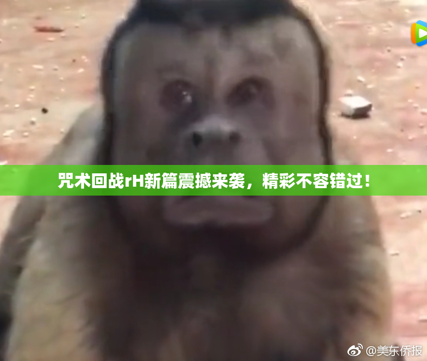 咒术回战rH新篇震撼来袭，精彩不容错过！