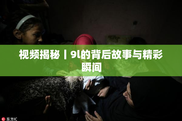 视频揭秘丨9l的背后故事与精彩瞬间