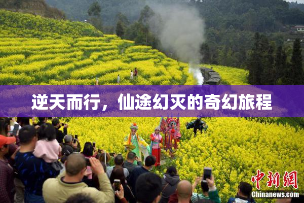 逆天而行，仙途幻灭的奇幻旅程