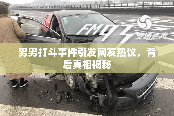 男男打斗事件引发网友热议，背后真相揭秘