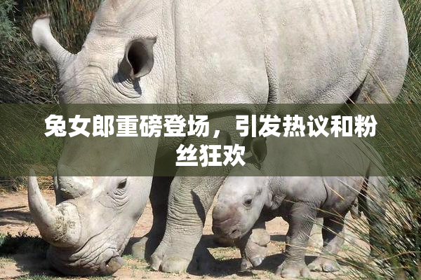 兔女郎重磅登场，引发热议和粉丝狂欢