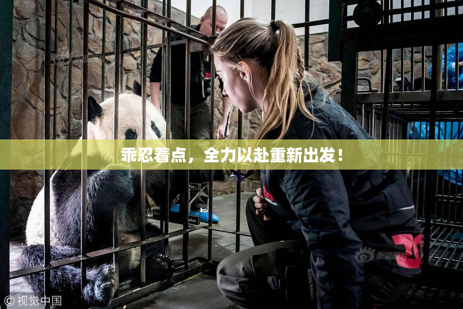 乖忍着点，全力以赴重新出发！