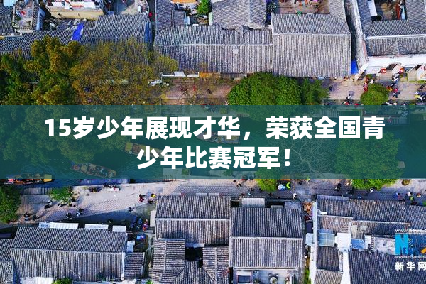 15岁少年展现才华，荣获全国青少年比赛冠军！