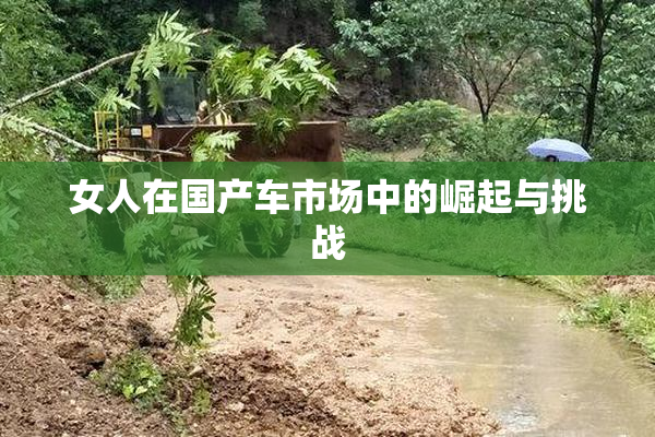 女人在国产车市场中的崛起与挑战