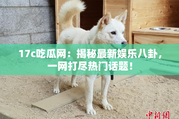 17c吃瓜网：揭秘最新娱乐八卦，一网打尽热门话题！