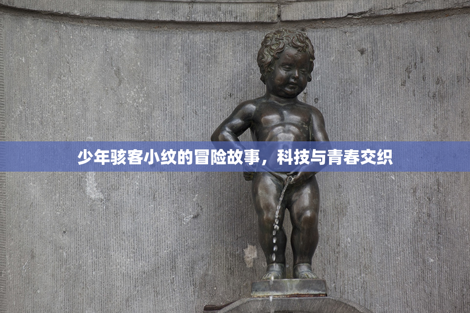 少年骇客小纹的冒险故事，科技与青春交织