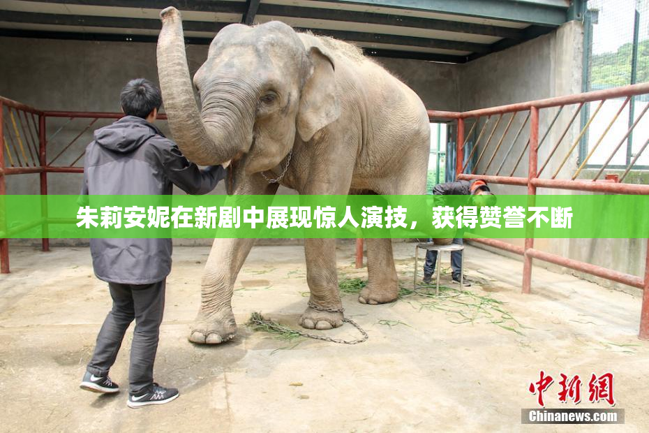 朱莉安妮在新剧中展现惊人演技，获得赞誉不断