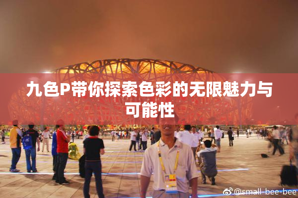 九色P带你探索色彩的无限魅力与可能性