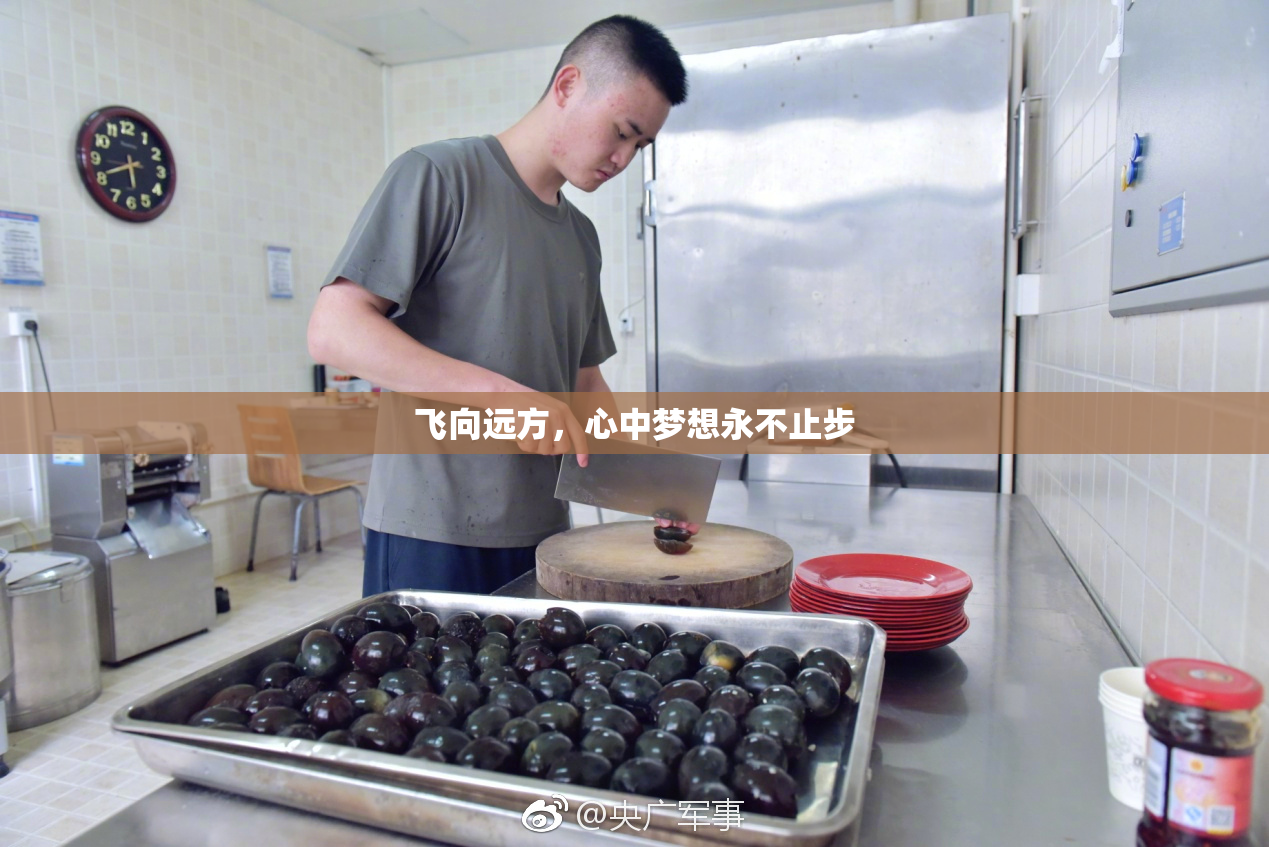 飞向远方，心中梦想永不止步