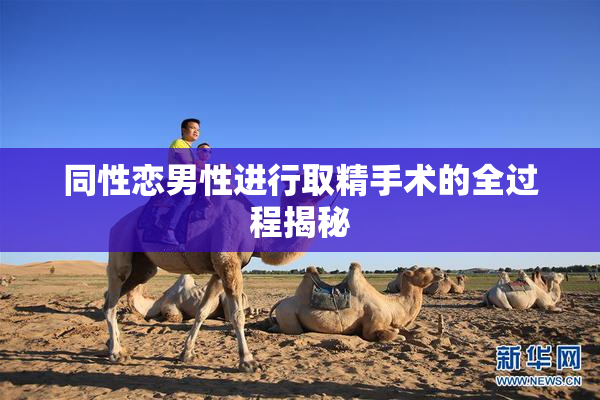 同性恋男性进行取精手术的全过程揭秘