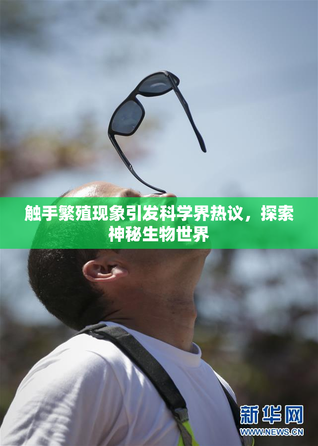 触手繁殖现象引发科学界热议，探索神秘生物世界