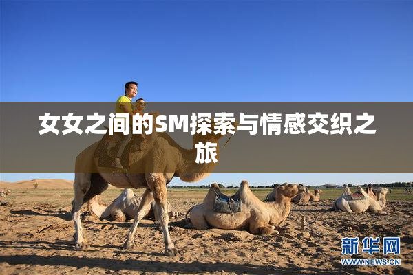 女女之间的SM探索与情感交织之旅