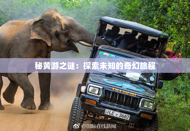 秘黄游之谜：探索未知的奇幻旅程