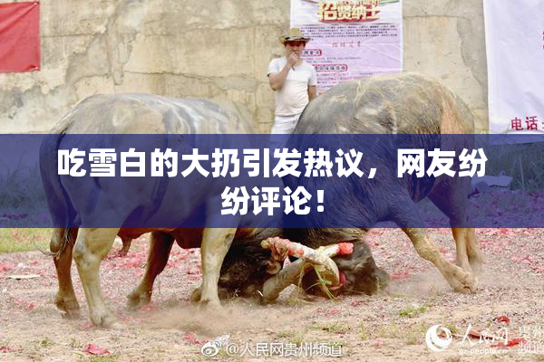 吃雪白的大扔引发热议，网友纷纷评论！