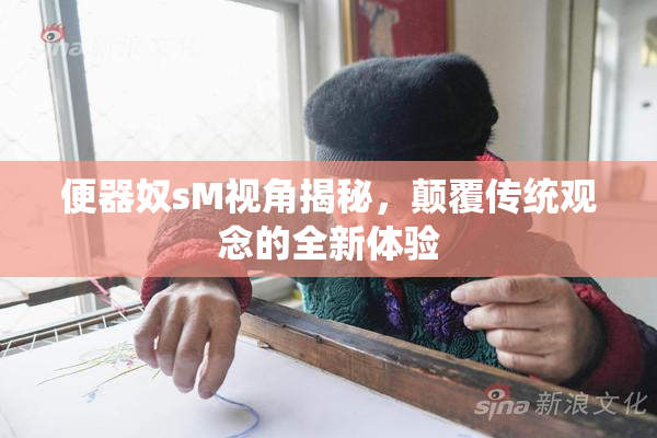 便器奴sM视角揭秘，颠覆传统观念的全新体验