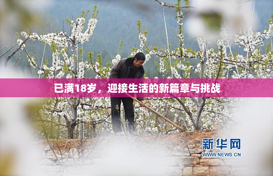 已满18岁，迎接生活的新篇章与挑战
