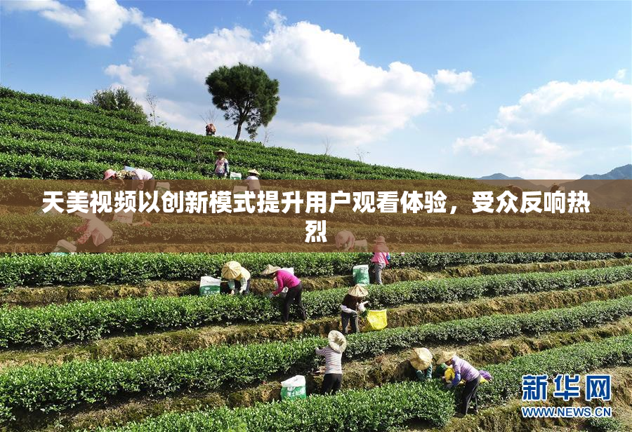 天美视频以创新模式提升用户观看体验，受众反响热烈