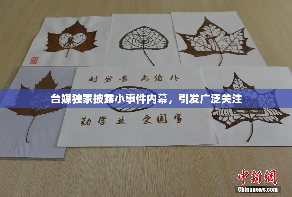 台媒独家披露小事件内幕，引发广泛关注