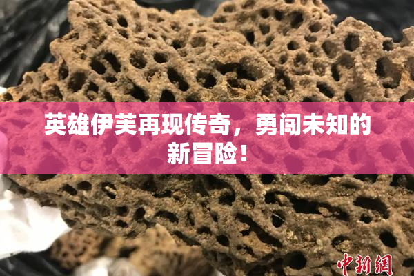 英雄伊芙再现传奇，勇闯未知的新冒险！