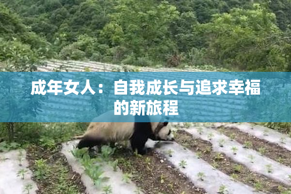 成年女人：自我成长与追求幸福的新旅程