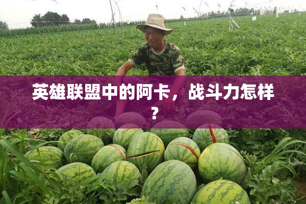 英雄联盟中的阿卡，战斗力怎样？