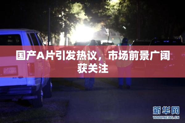 国产A片引发热议，市场前景广阔获关注