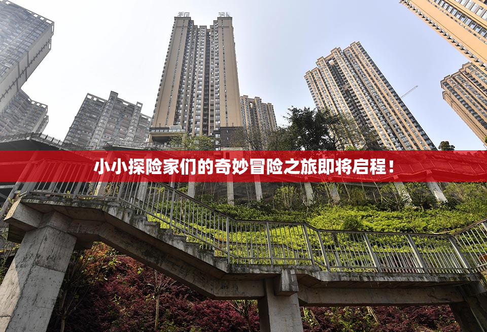 小小探险家们的奇妙冒险之旅即将启程！
