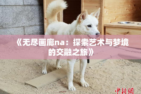 《无尽画廊na：探索艺术与梦境的交融之旅》