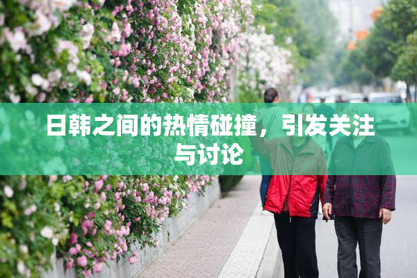 日韩之间的热情碰撞，引发关注与讨论