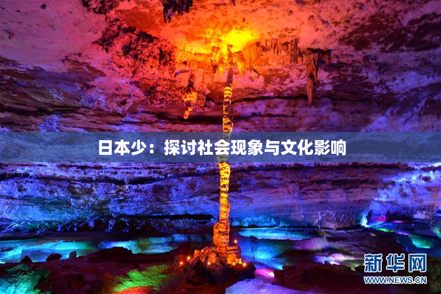 日本少：探讨社会现象与文化影响