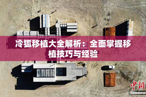 冷狐移植大全解析：全面掌握移植技巧与经验
