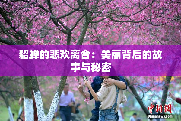 貂蝉的悲欢离合：美丽背后的故事与秘密