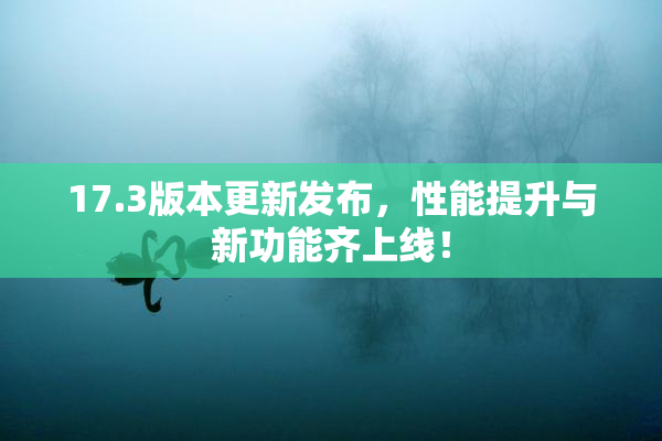17.3版本更新发布，性能提升与新功能齐上线！