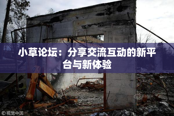 小草论坛：分享交流互动的新平台与新体验
