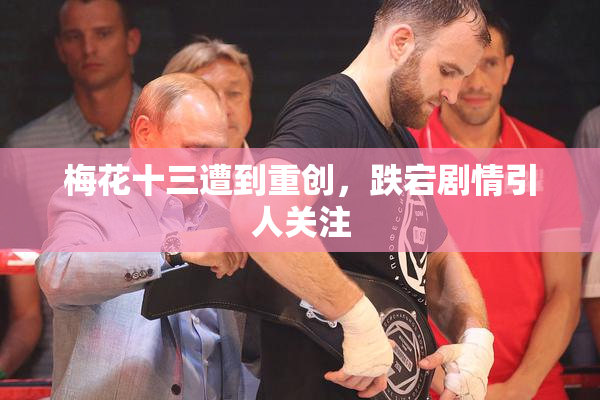 梅花十三遭到重创，跌宕剧情引人关注