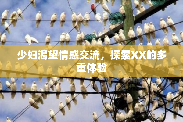 少妇渴望情感交流，探索XX的多重体验