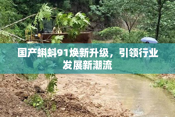 国产蝌蚪91焕新升级，引领行业发展新潮流