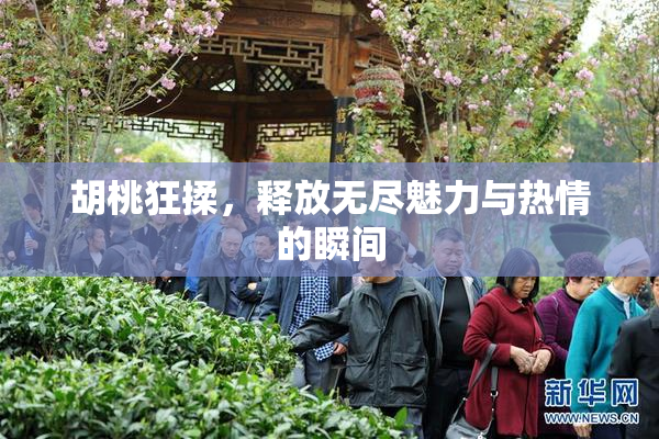 胡桃狂揉，释放无尽魅力与热情的瞬间