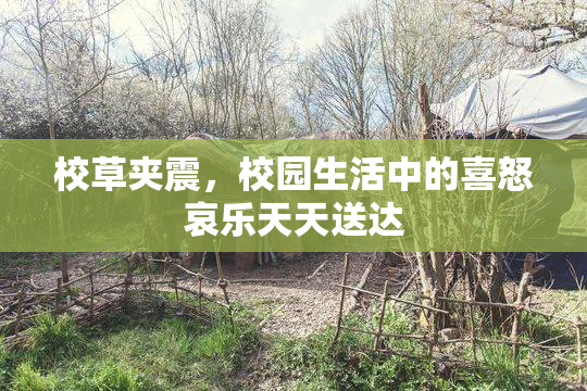 校草夹震，校园生活中的喜怒哀乐天天送达
