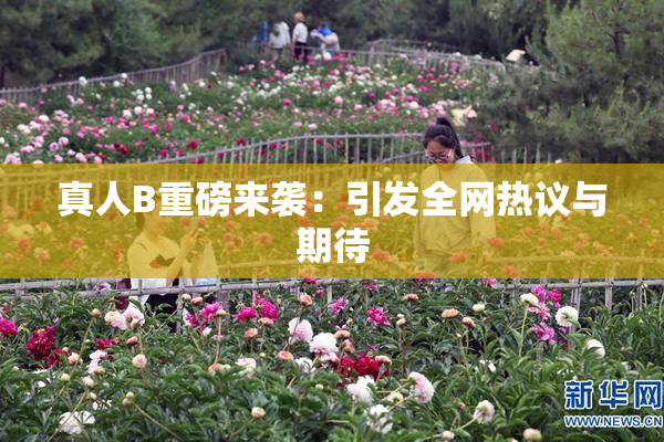 真人B重磅来袭：引发全网热议与期待